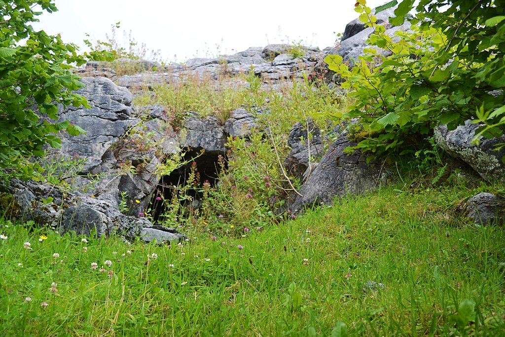 Ailwee Cave and Nature Reserve