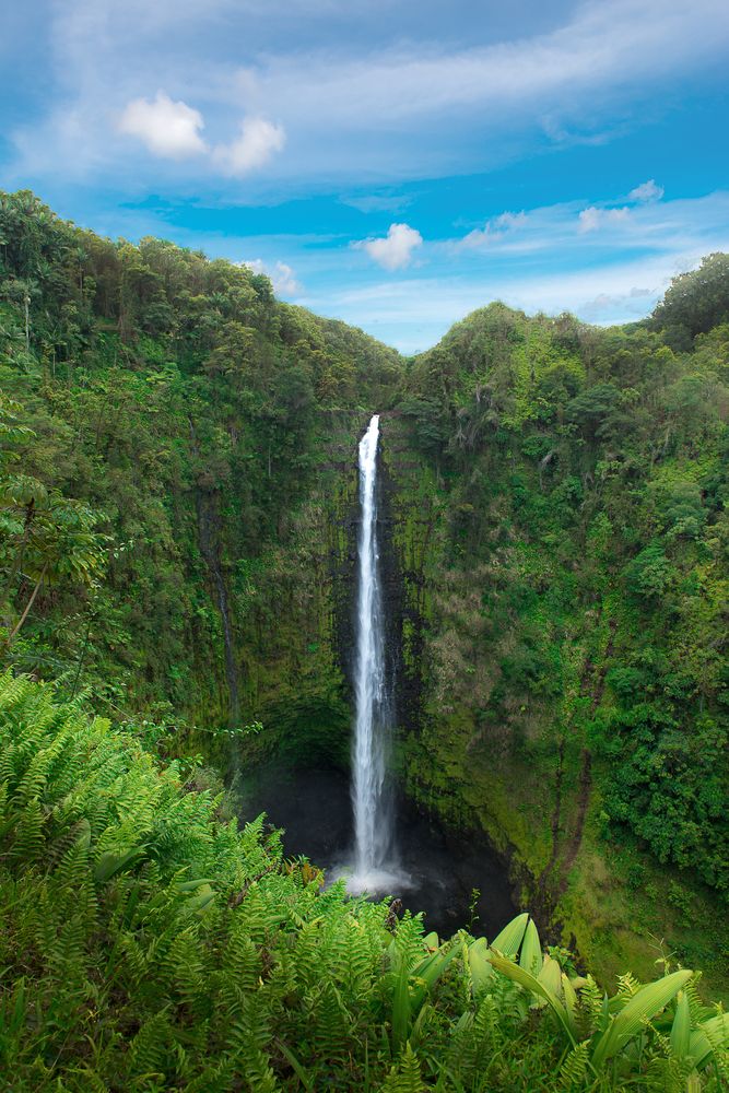 Akaka Falls portrait photo