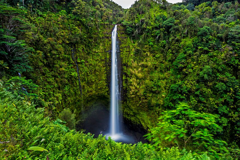 Akaka Falls in Hilo, Hawaii
