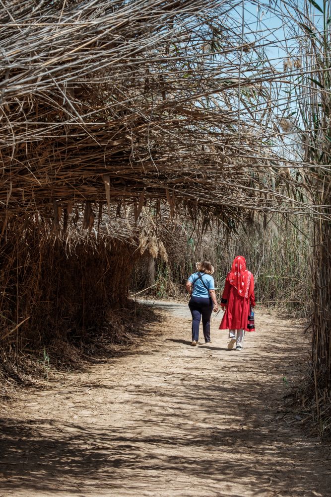 Tourists walking on the narrow trail at Al Wathba Wetland Reserve