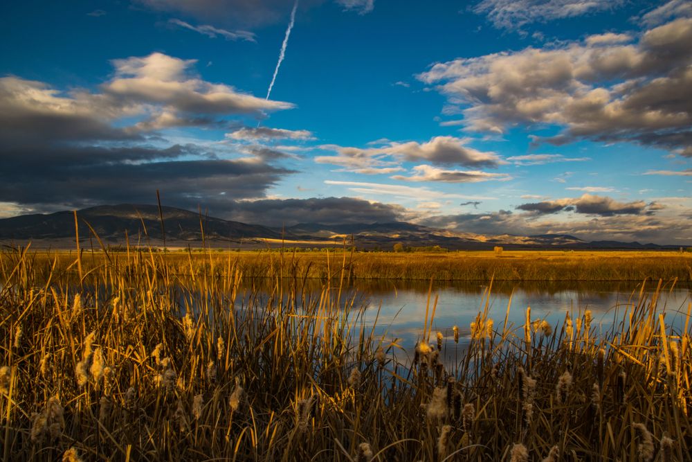 Landscape at Alamosa National Wildlife refuge.