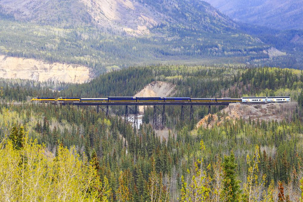 Alaska Railroad passing through Denali National Park