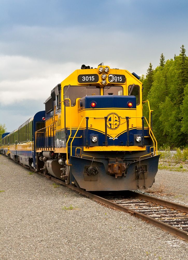 View of a train passing through Alaska Railroad