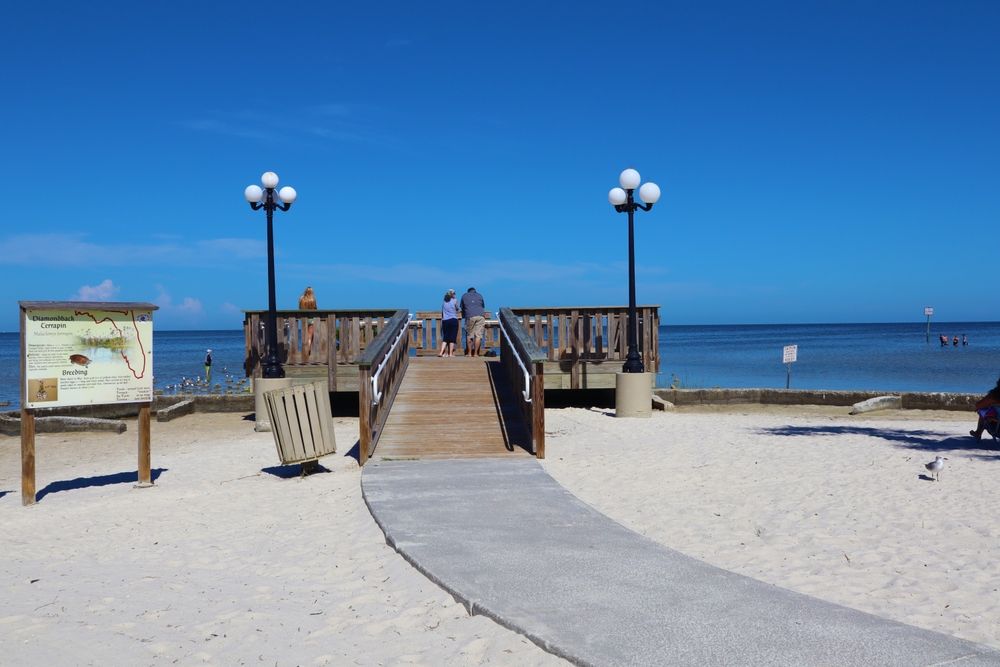 Observation area at Alfred McKethan Pine Island Park