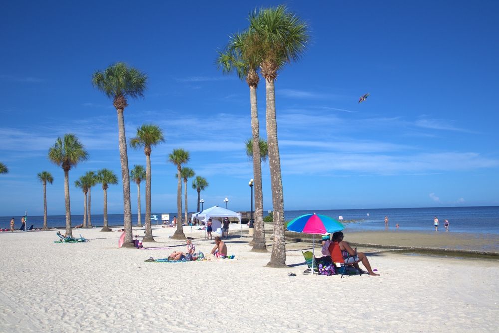 People relaxing on the shores of Alfred McKethan Pine Island Park