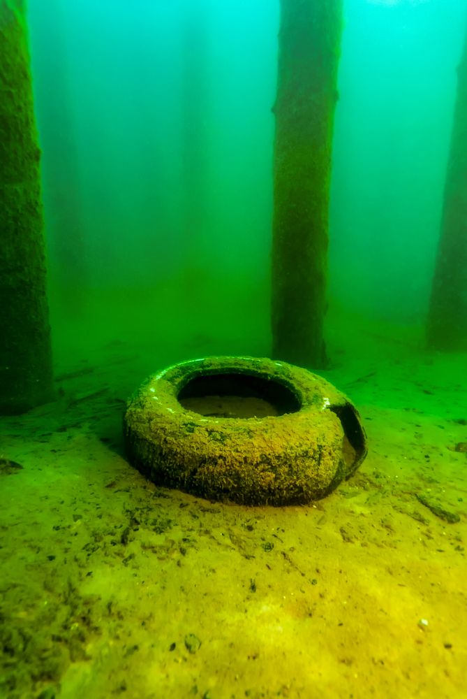 Damaged tyre at Alger Underwater Preserve
