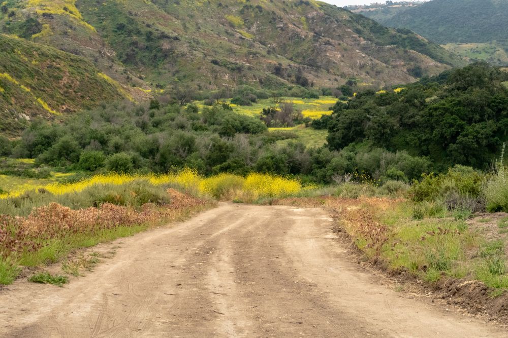 Dusty narrow walkway at Aliso and Wood Canyon Wilderness Park
