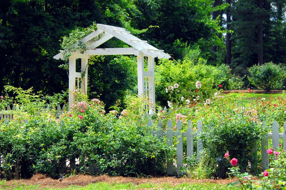 Flora at American Rose Center