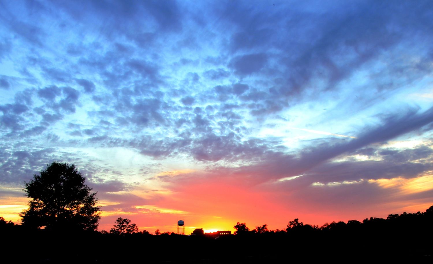 20 Best Things to Do in Americus, GA