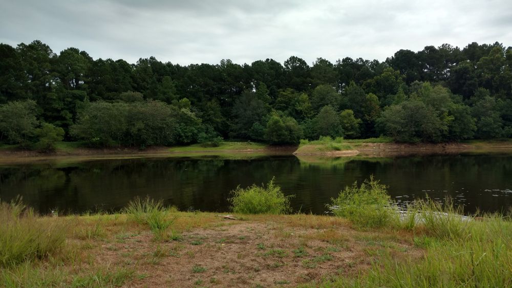 Pond at Amerson River Park