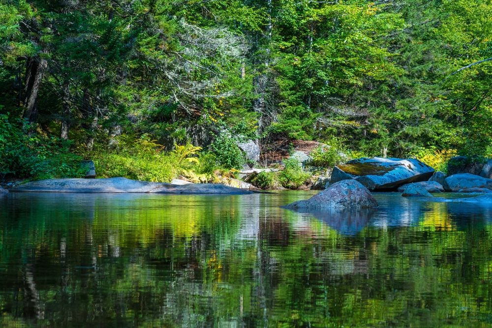 Scenic view of Ammonoosuc River