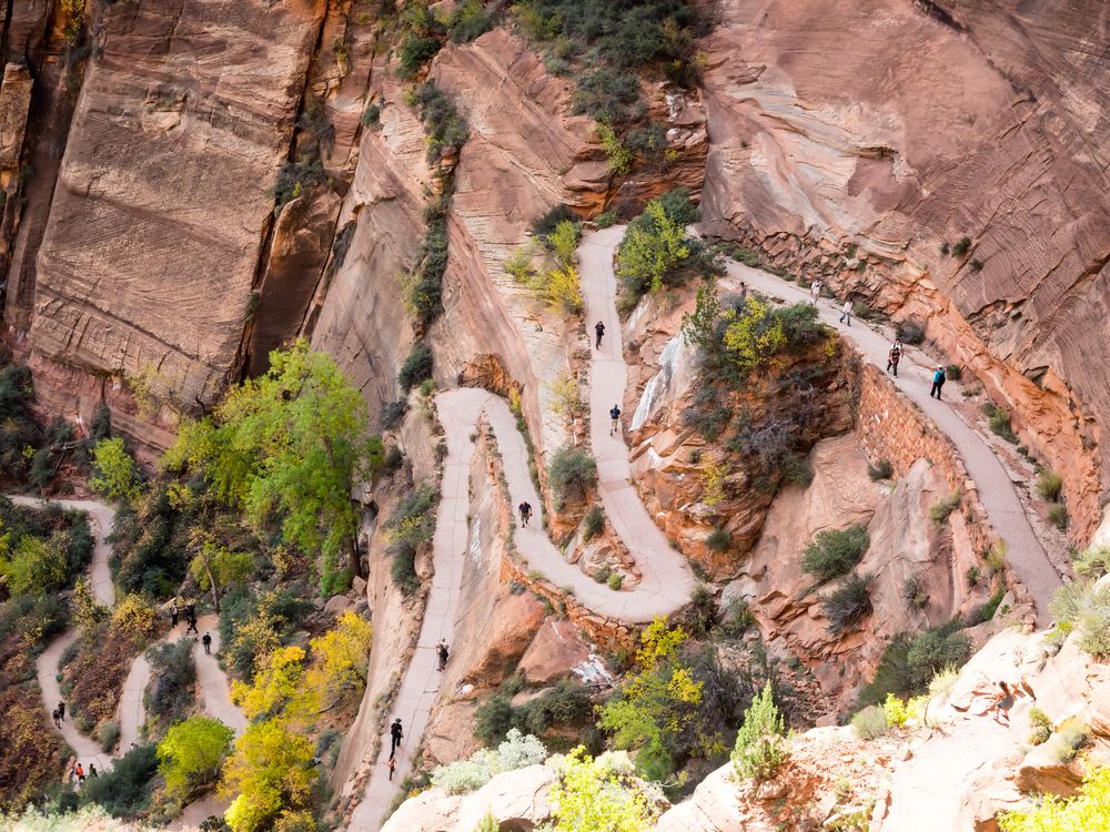 Hiking trail leading to Angels Landing