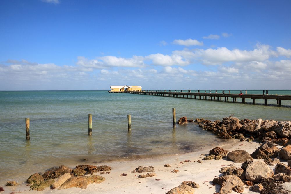 View of the long Anna Maria City Pier on a sunny day