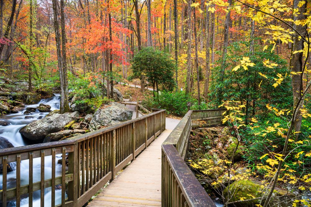 Anna Ruby Falls