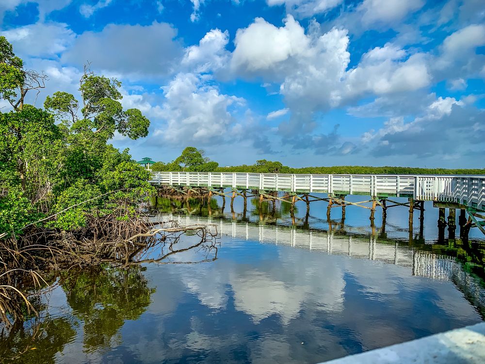 The wooden boardwalk of Anne Kolb Nature center