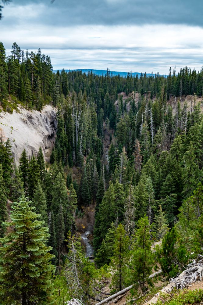 View of Annie Creek Canyon