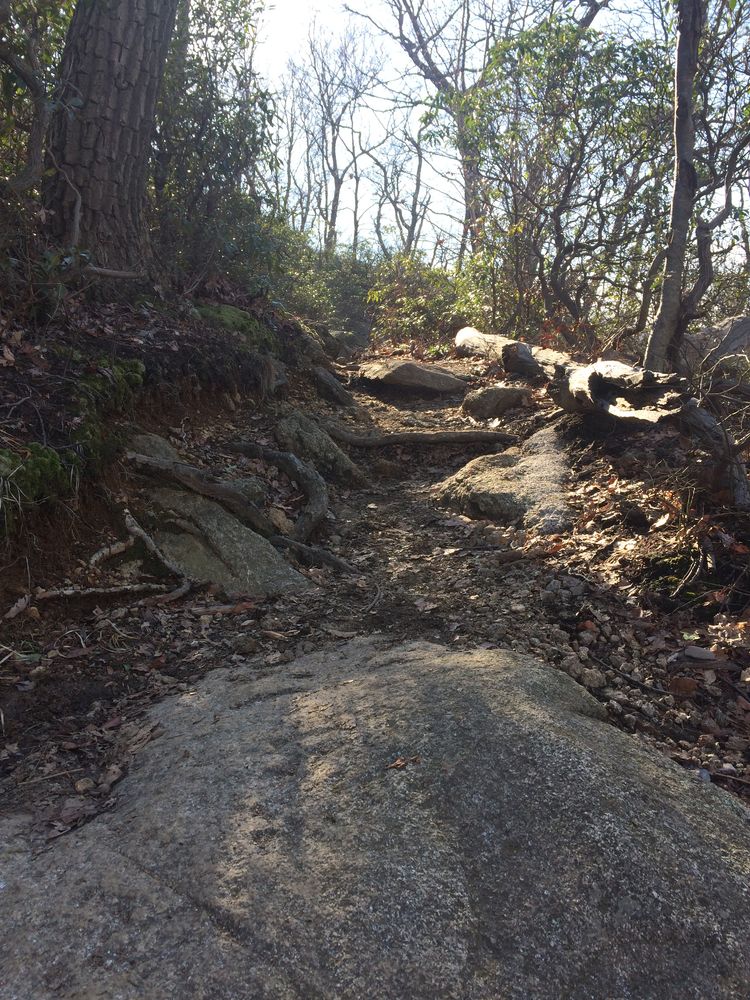 Hiking trail at Anthony’s Nose