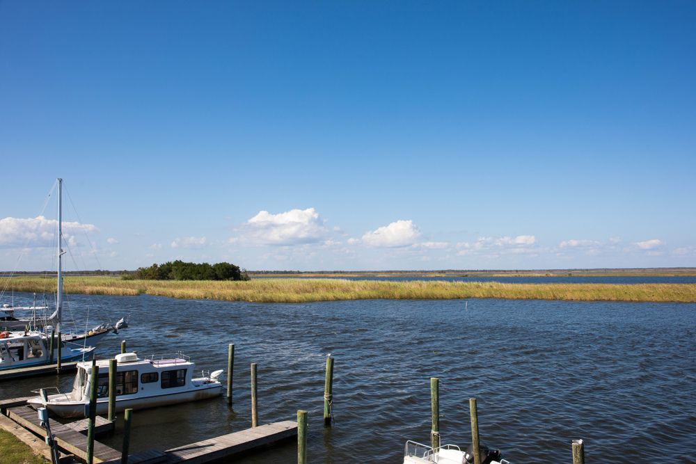 The waters of Apalachicola Bay