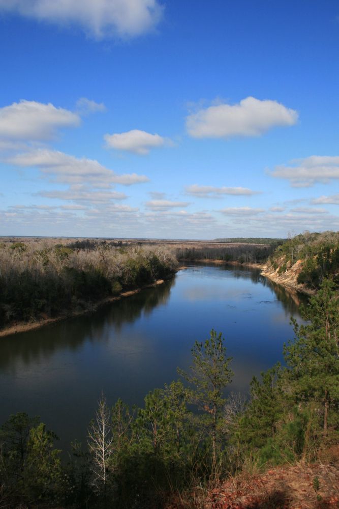 The waters of Apalachicola River