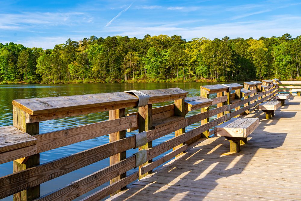 View of Apex Community Park