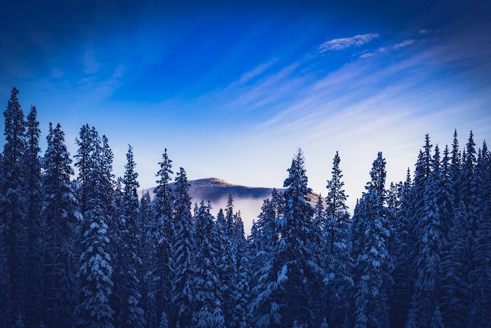 Apex Mountain Resort