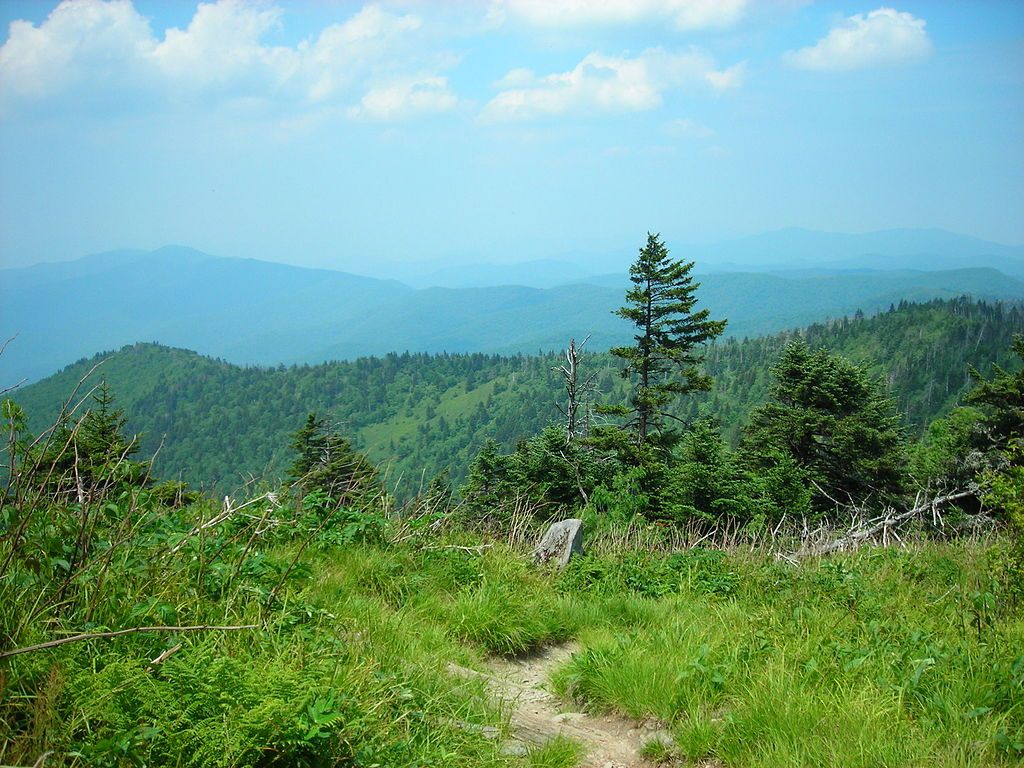 Lush greeneries at Appalachian National Scenic Trail