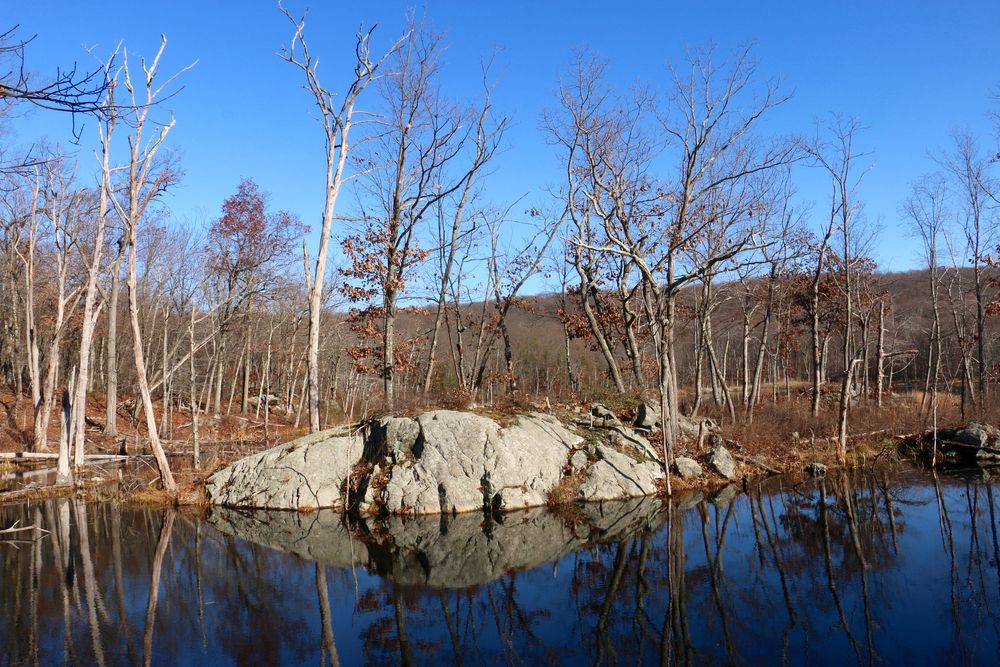 View of the Apshawa Preserve