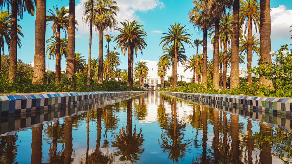 A pond at Arab League Park in Casablanca