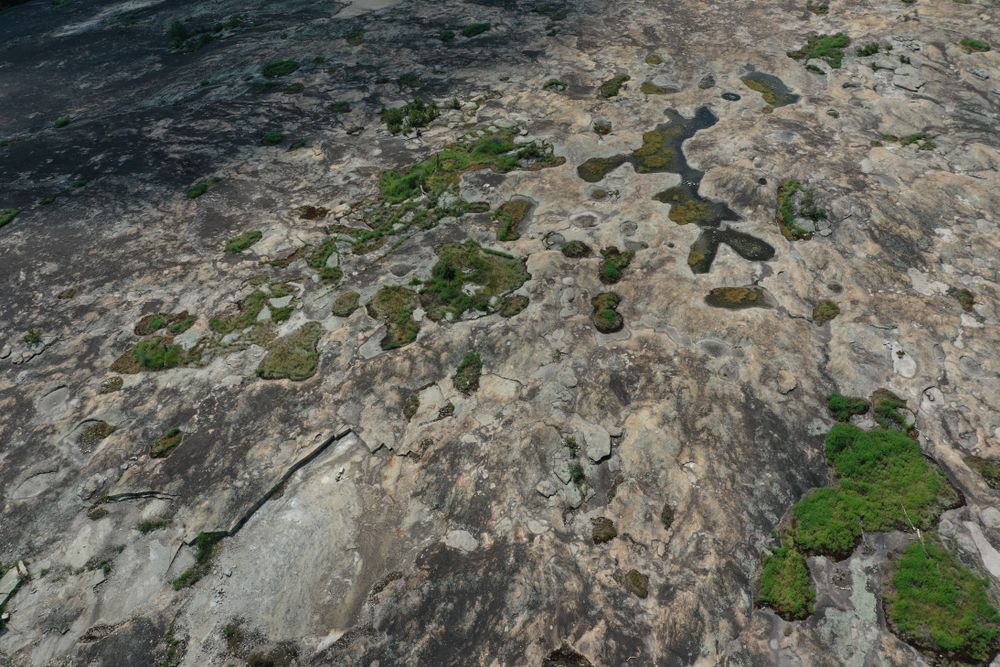 Landscape of the Arabia Mountain National Heritage Area