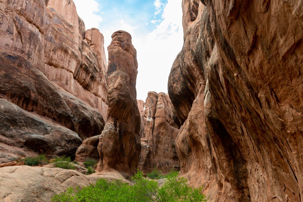 Narrow pathways of Fiery Furnace