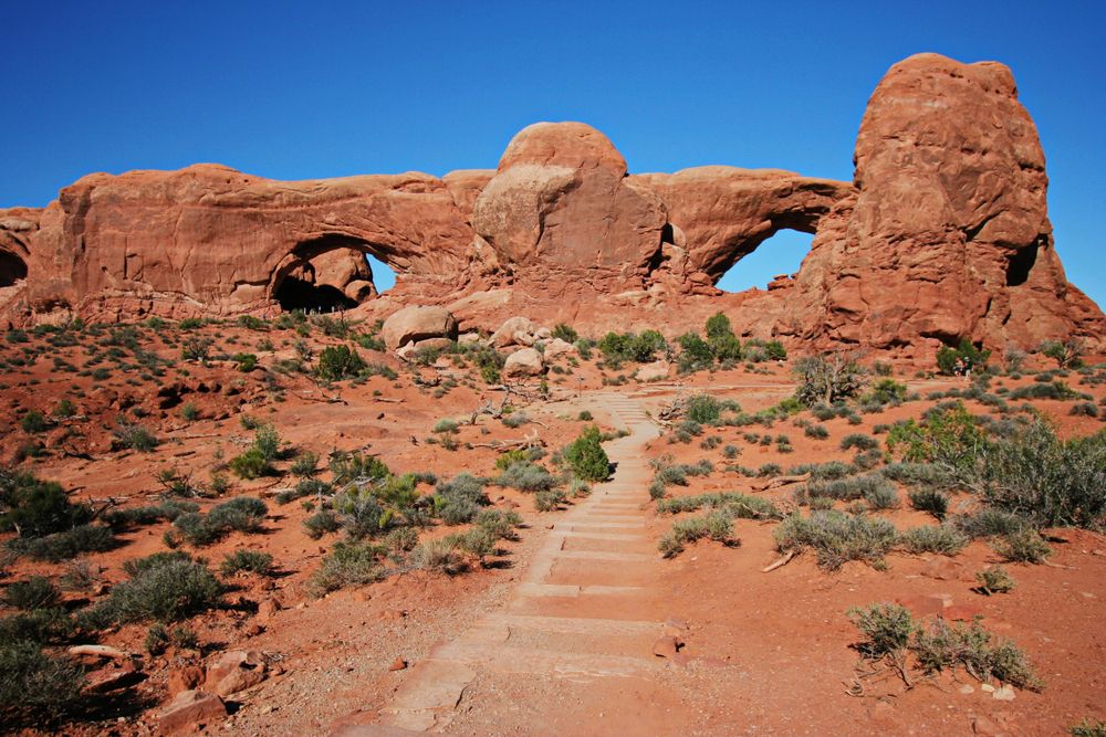 View of the Windows Section arch