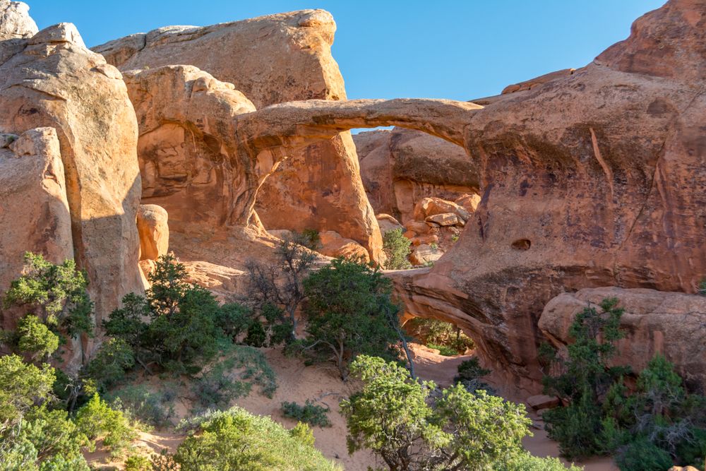 One of the arches along scenic drive