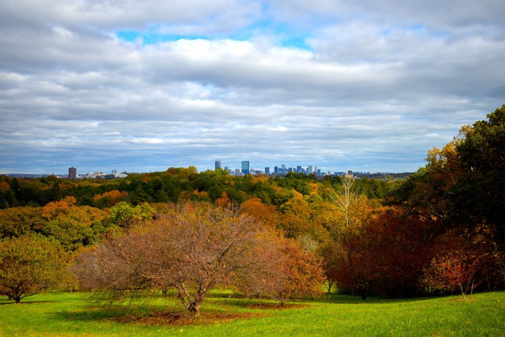 The Arnold Arboretum