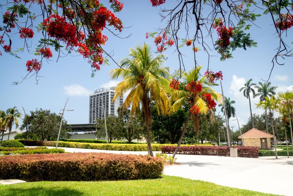 Landscape of the ArtsPark at Young Circle