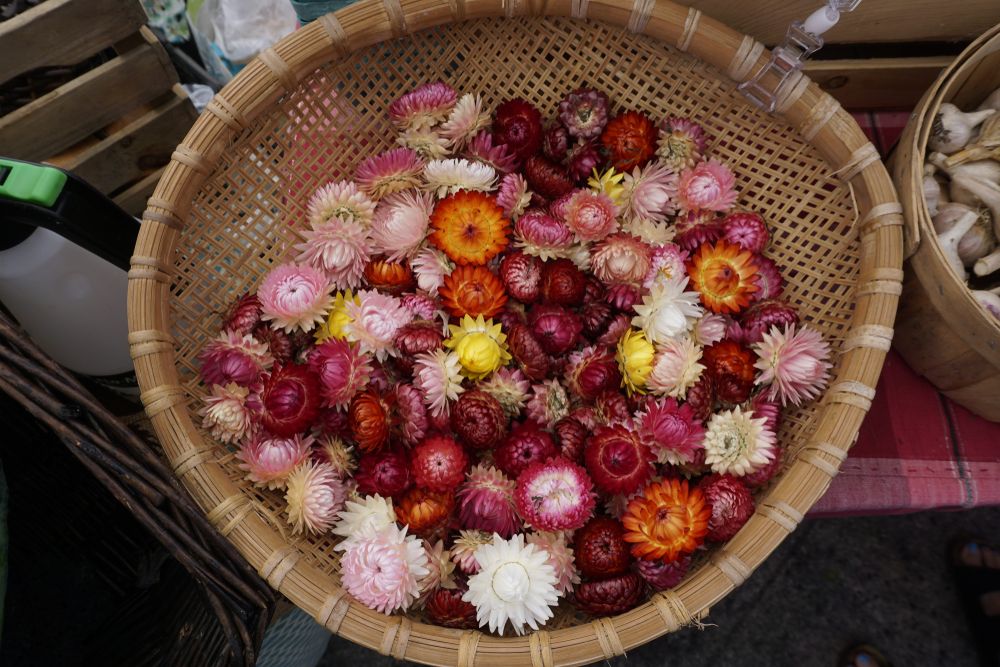 Basket of blossoms at Astoria Sunday Market