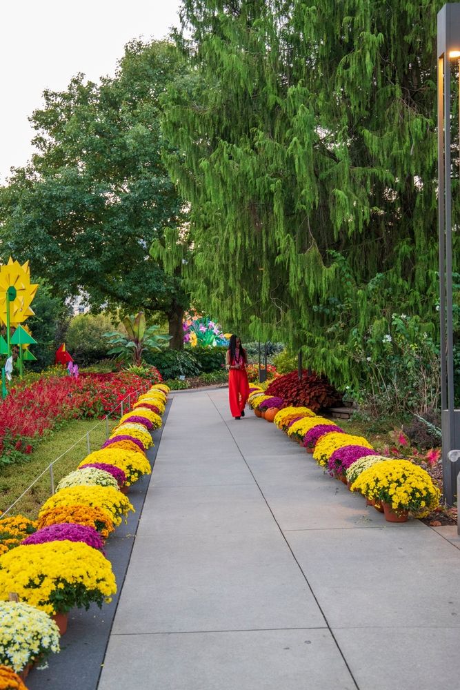 Walkway at Atlanta Botanical Garden
