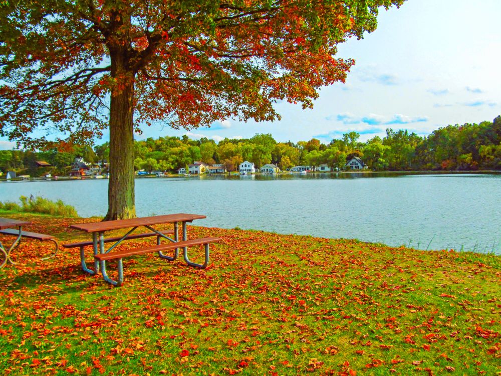 Autumn in Silver Lake