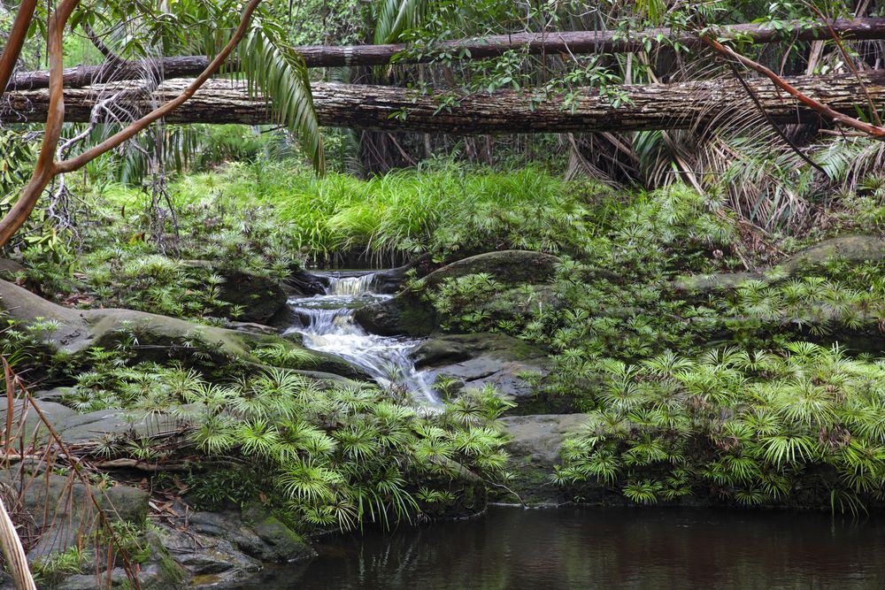 Breath-taking view of the Tajor Waterfall at Bako National Park