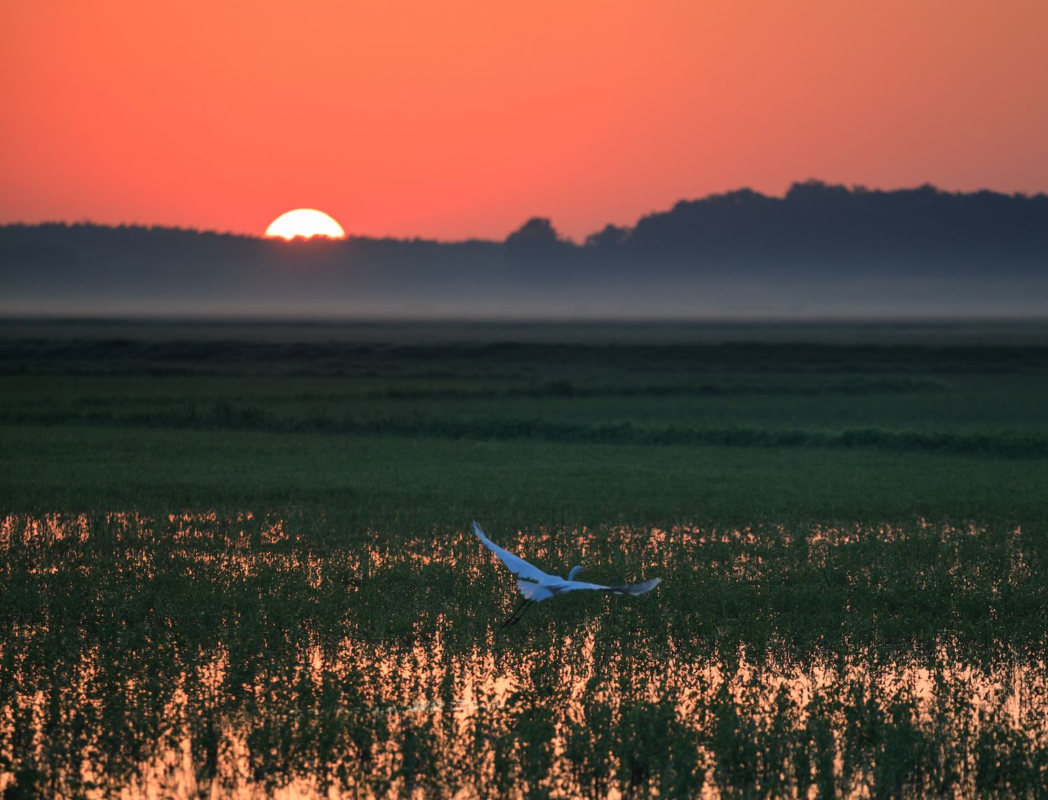 15 Best Things to Do in Bald Knob, AR Travel Lens