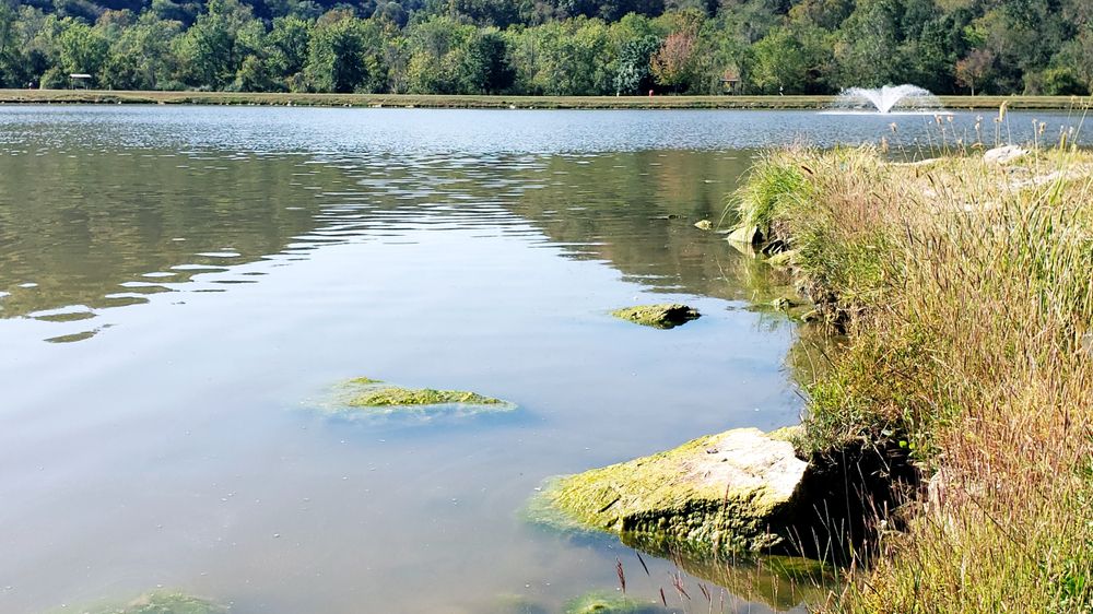 Calm waters of Barboursville Park