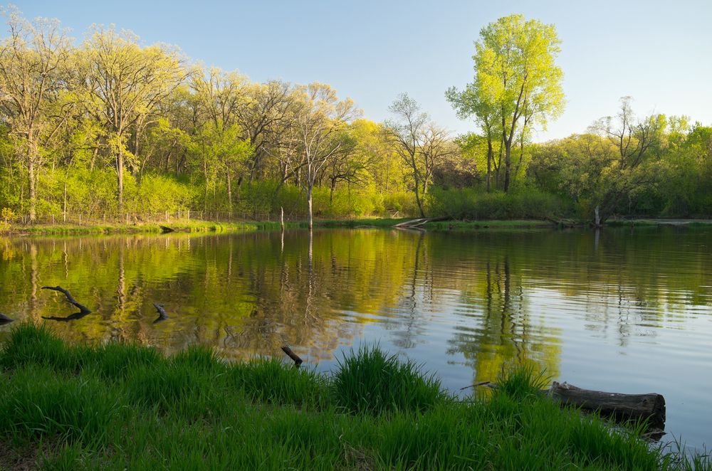 Pond at the Battle Creek Regional Park
