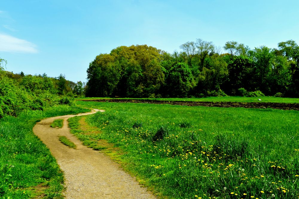 Narrow path at Battle Road Trail