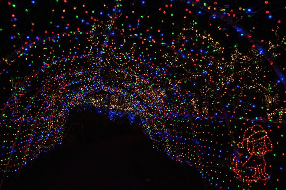 Christmas decorations at Bayfront Park