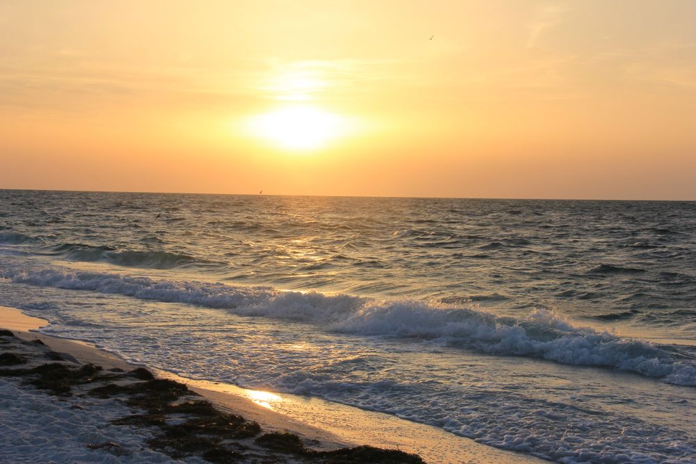 Bean point beach in Anna Maria Island