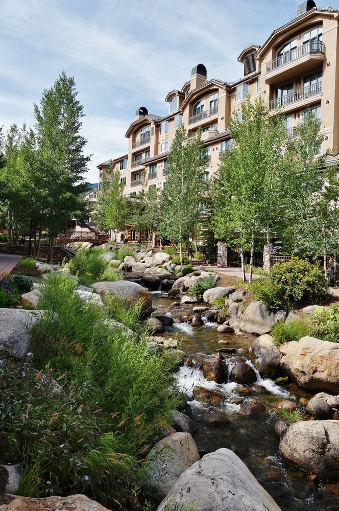 Trees framing a body of water in Beaver Creek Village