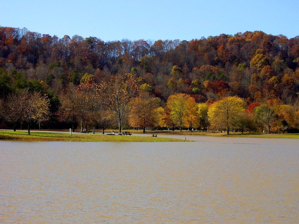 Huge lake at Beech Fork State Park