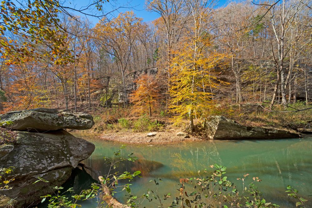 Landscape of Bell Smith Springs Recreation Area