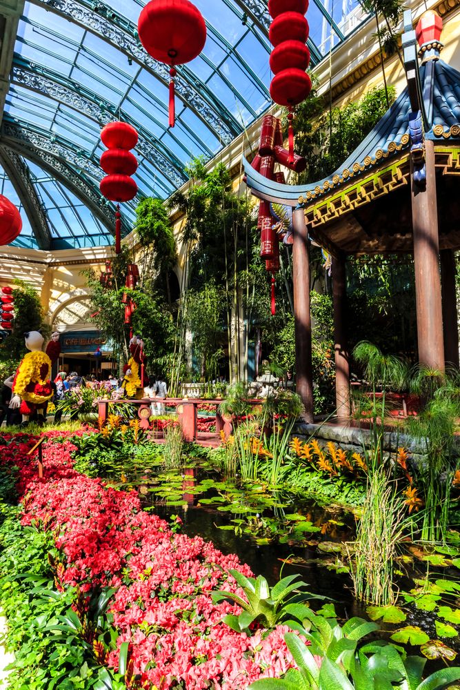 Different variety of plants at Bellagio Conservatory & Botanical Gardens