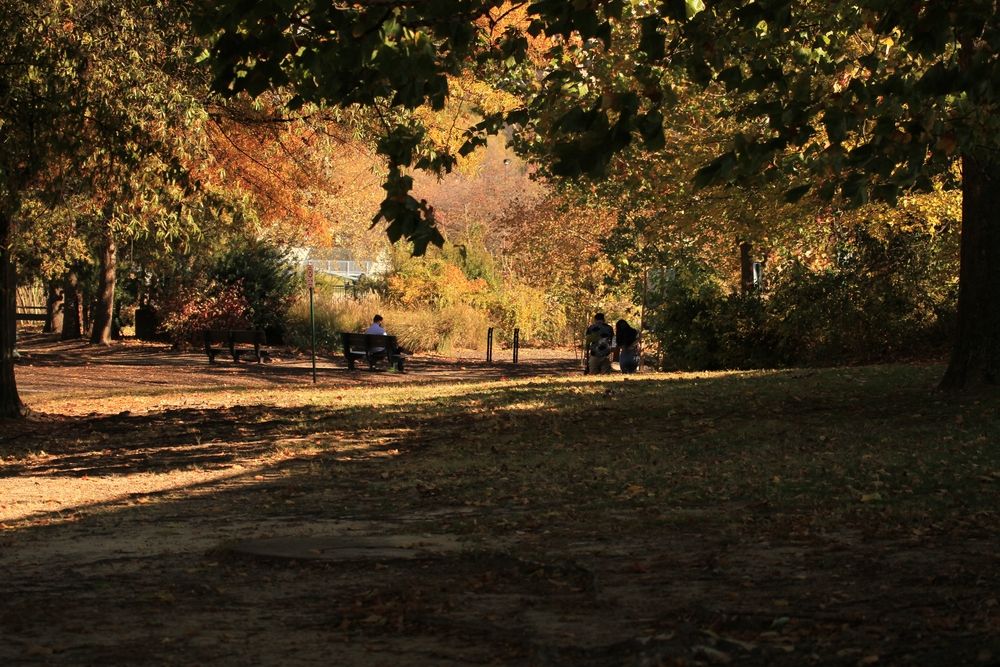 People relaxing on the park at Belle Isle