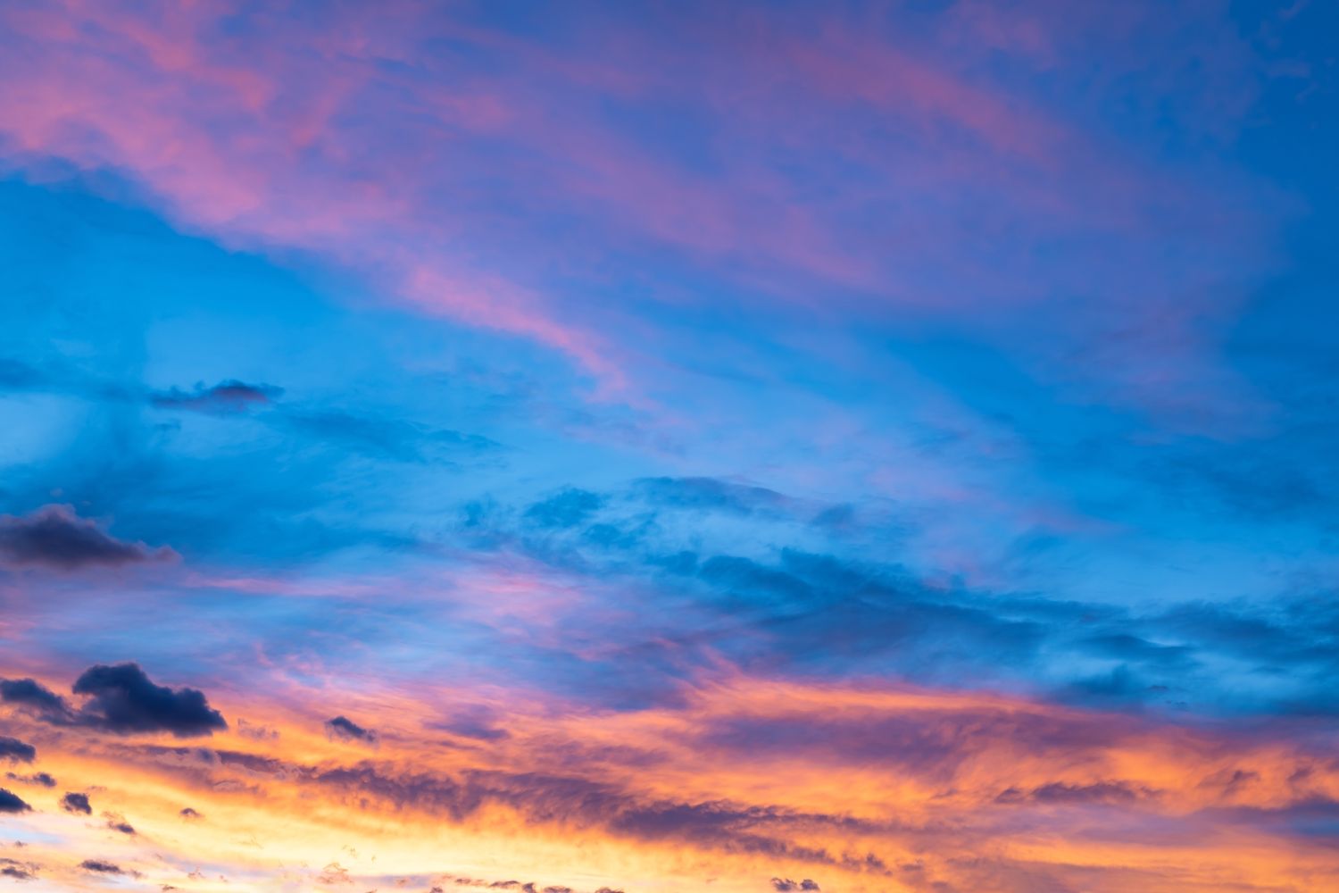 15 Free Things to Do in Berwyn, IL Travel Lens